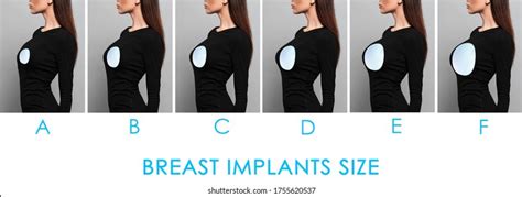 c cup breasts|Breast Size Comparison Side by Side